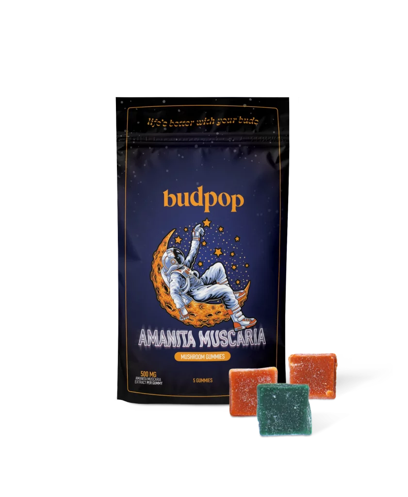 BP MUSH CUBE AMNTA 25 BAG GUM